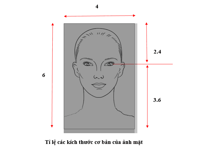 Ảnh minh họa ảnh 4x6